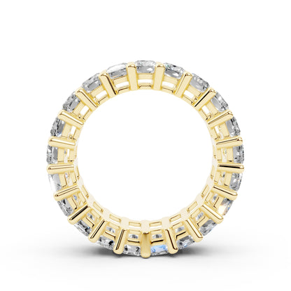 025 Tamtur Radiant 030