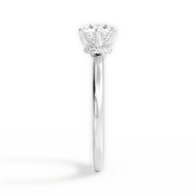 JRS 201 media 4
