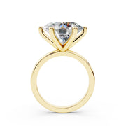 313 Paris 8.00 ct media 3