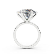 313 Paris 8.00 ct media 13