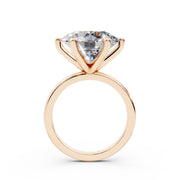 313 Paris 8.00 ct media 5