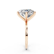 313 Paris 8.00 ct media 6