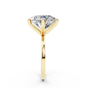 313 Paris 8.00 ct media 7