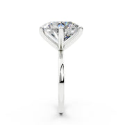 313 Paris 8.00 ct media 8
