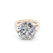 313 Paris 8.00 ct media 11