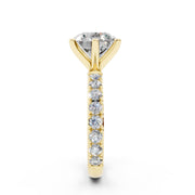 240 Paris  - 3.00 ct media 7