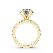240 Paris  - 3.00 ct media 10