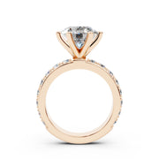 240 Paris  - 3.00 ct media 11