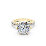 240 Paris  - 3.50 ct media 13