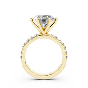 240 Paris  - 3.50 ct media 10