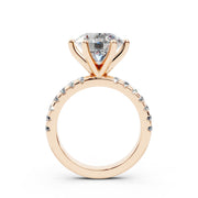 240 Paris  - 3.50 ct media 11