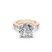 288 Paris 3.50 ct media 13