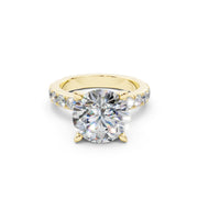 288 Paris 3.50 ct media 14