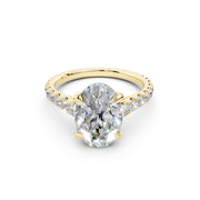 CARTIER 1895 OVAL 4.0 ct media 18