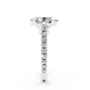 CARTIER 1895 OVAL 4.0 ct media 14