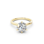 Bir 17  - 2.00 ct media 14
