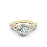 Bir 24 3.0 ct media 7