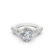 Bir 24 3.0 ct media 1