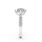 Bir 24 3.0 ct media 10