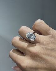 280 Oval Tiffany media 18