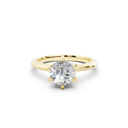 AMERİKAN TIFFANY media 14