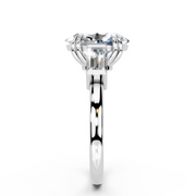 Margo Oval media 9