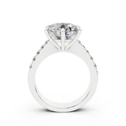 005 AA 4.0 ct media 3