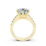 005 AA 4.0 ct media 5