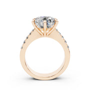 005 AA 4.0 ct media 6