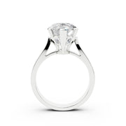 126 Damla 5 ct media 4