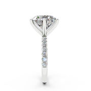 240 Paris  - 5.0 ct media 16