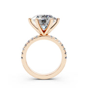 240 Paris  - 5.0 ct media 10