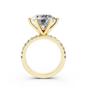 240 Paris  - 5.0 ct media 11