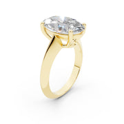 280 Oval Tiffany media 11