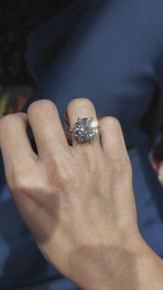 313 Paris 8.00 ct media 15