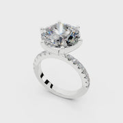 240 Paris  - 5.0 ct media 6