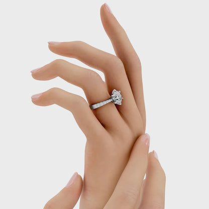 005 AA 3.0 ct ince