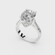 126 Damla 5 ct media 3