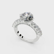 Bir 24 3.0 ct media 4