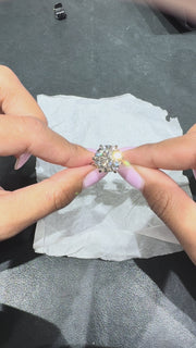 313 Paris 8.00 ct media 14