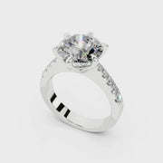 005 AA 3.0 ct ince media 4